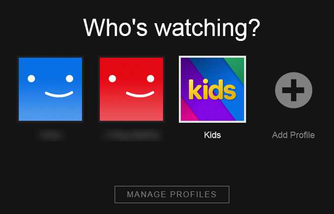 Netflix membership